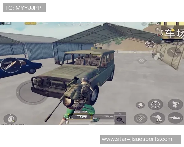 杨磊独家揭秘和平精英游戏技巧与心得分享，助你成为战场高手实时数据