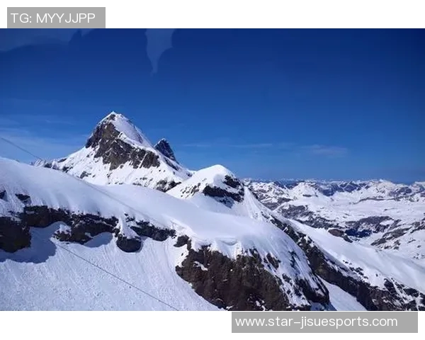 esports数据张娜的英雄联盟之路从新手到职业选手的深度对话与成长故事